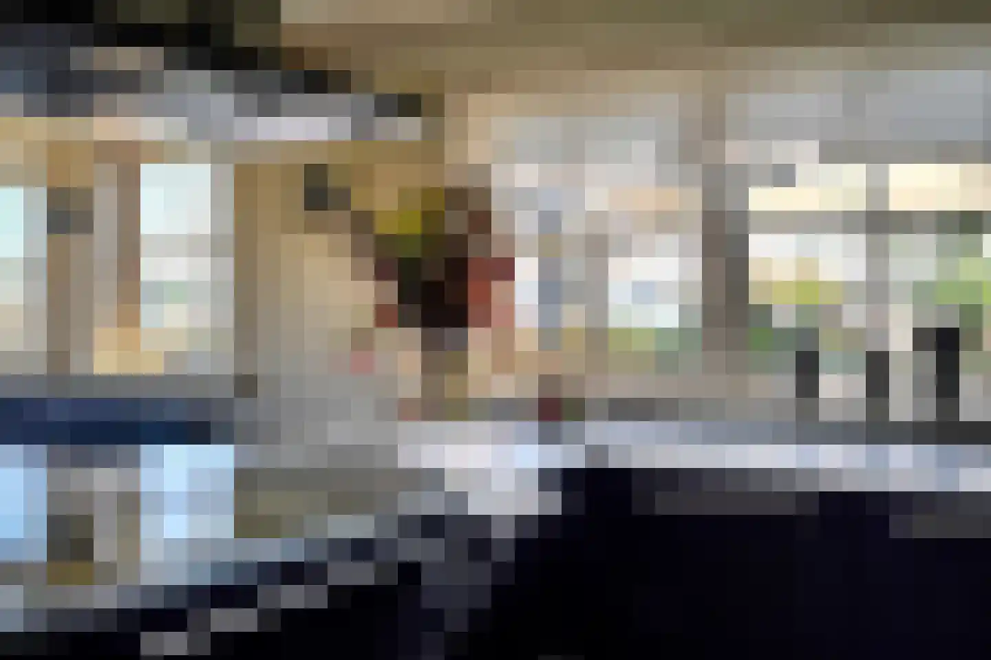 's-Gravenbroekseweg 35 Reeuwijk thumbnail 13