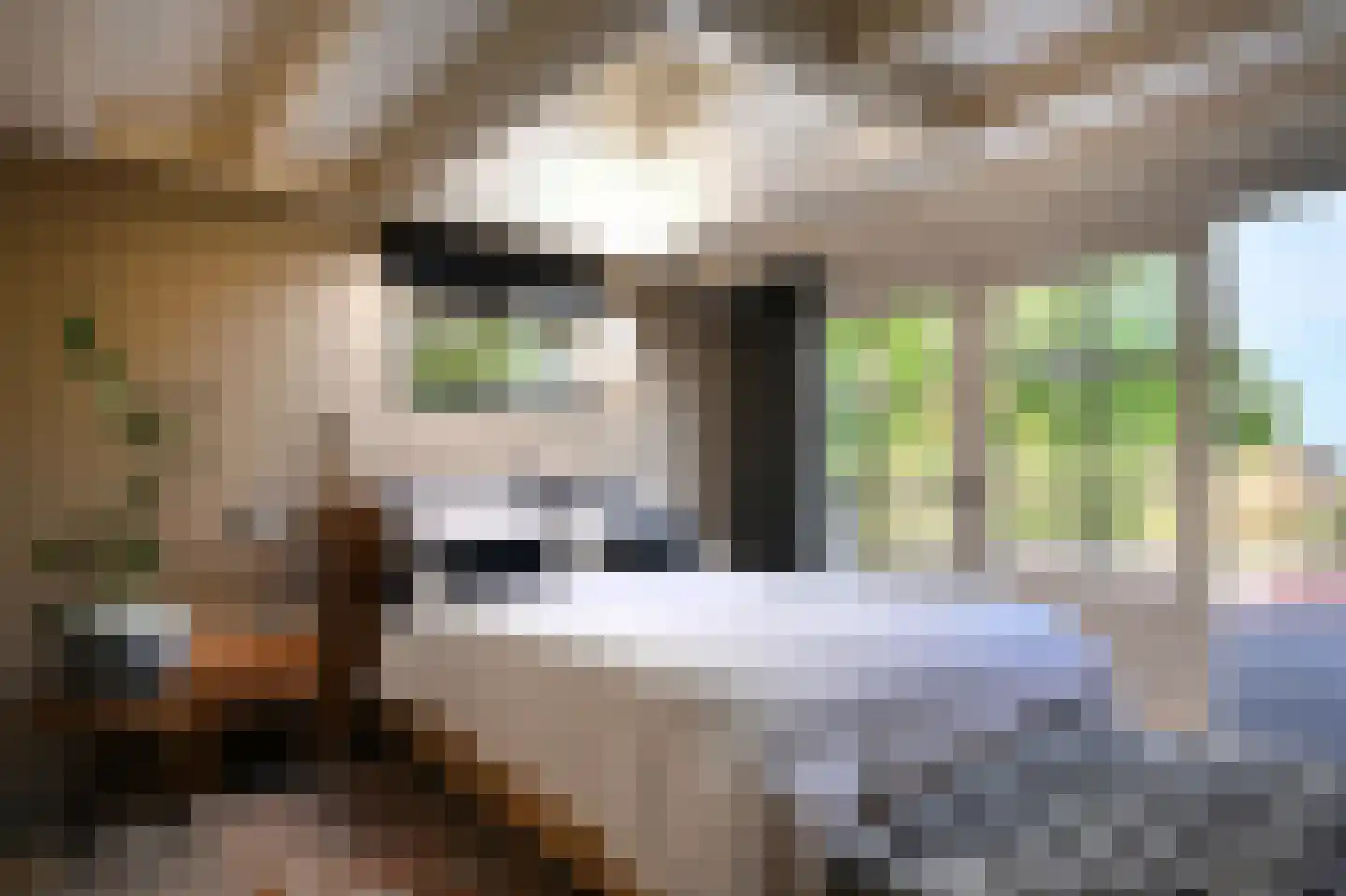's-Gravenbroekseweg 35 Reeuwijk thumbnail 16