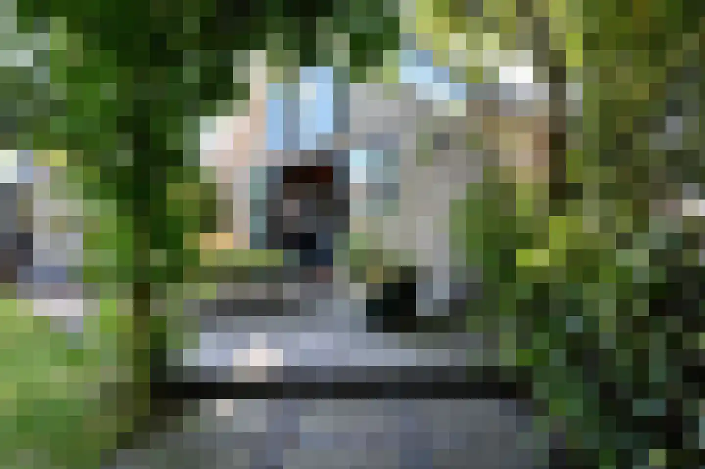 's-Gravenbroekseweg 35 Reeuwijk thumbnail 24