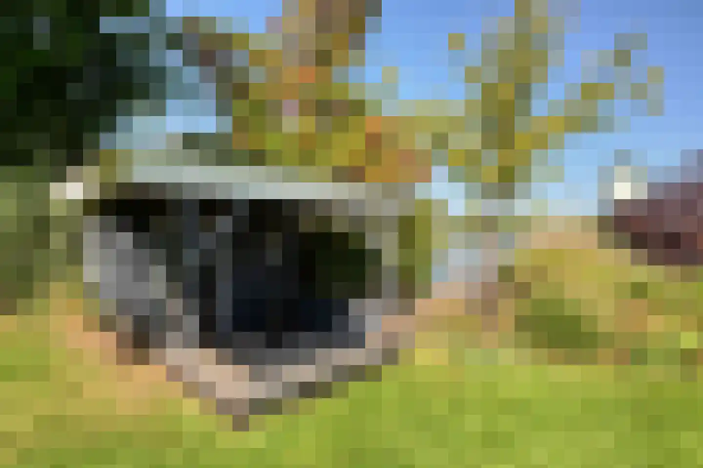 's-Gravenbroekseweg 35 Reeuwijk thumbnail 34