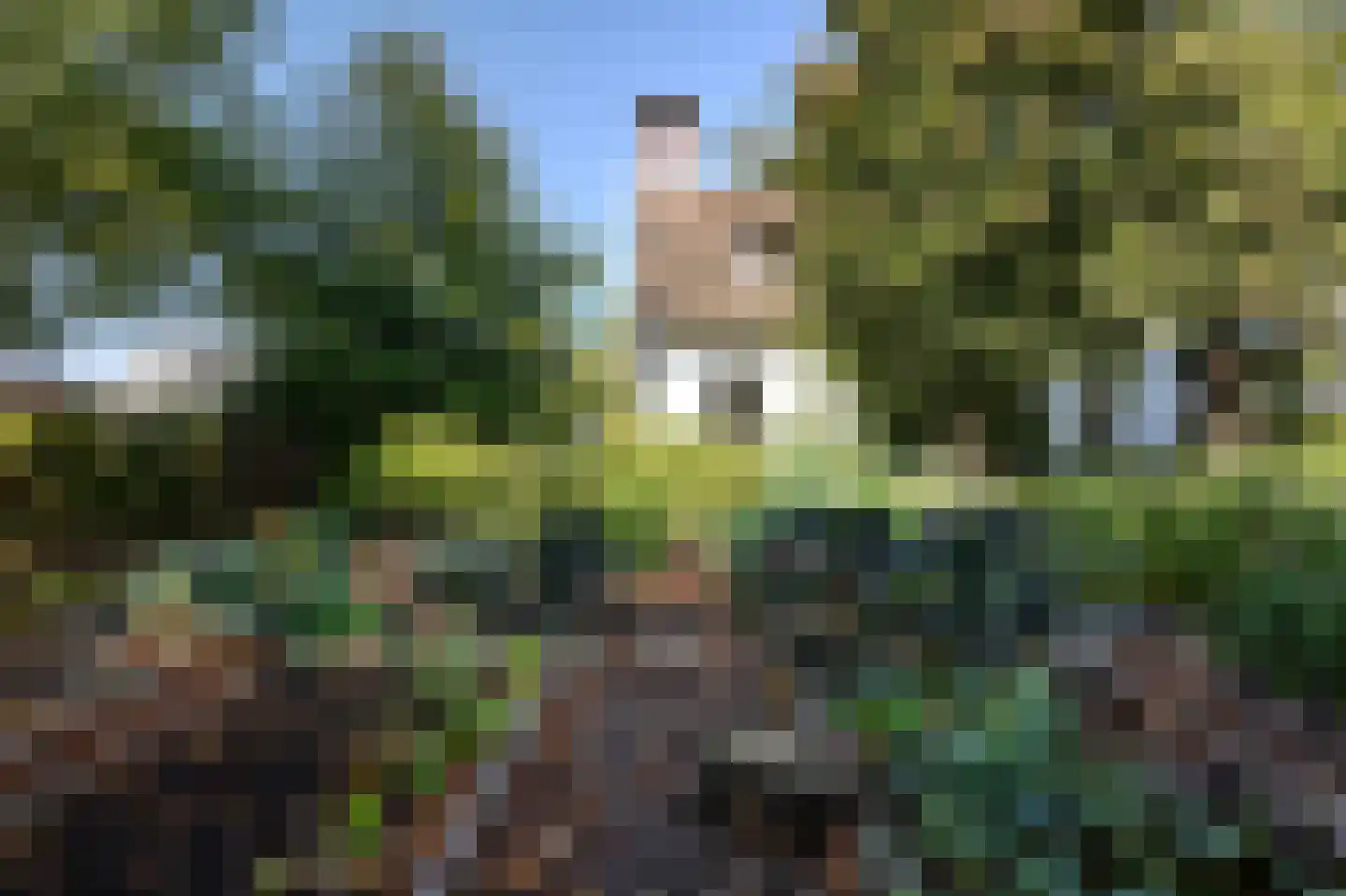 's-Gravenbroekseweg 35 Reeuwijk thumbnail 39