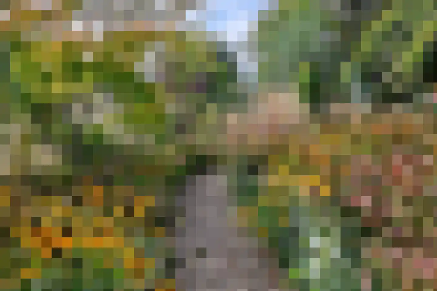 's-Gravenbroekseweg 35 Reeuwijk thumbnail 41