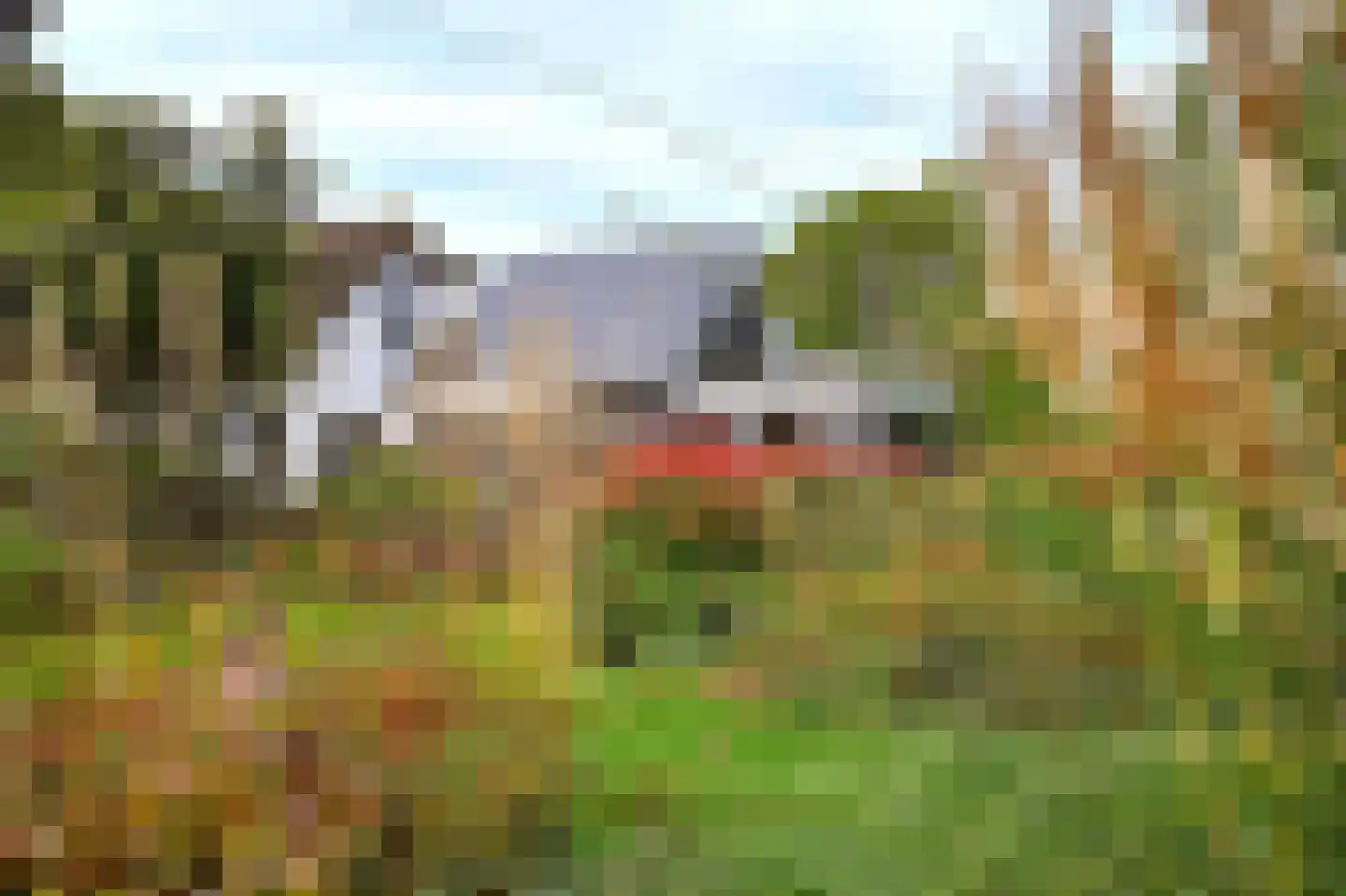 's-Gravenbroekseweg 35 Reeuwijk thumbnail 42