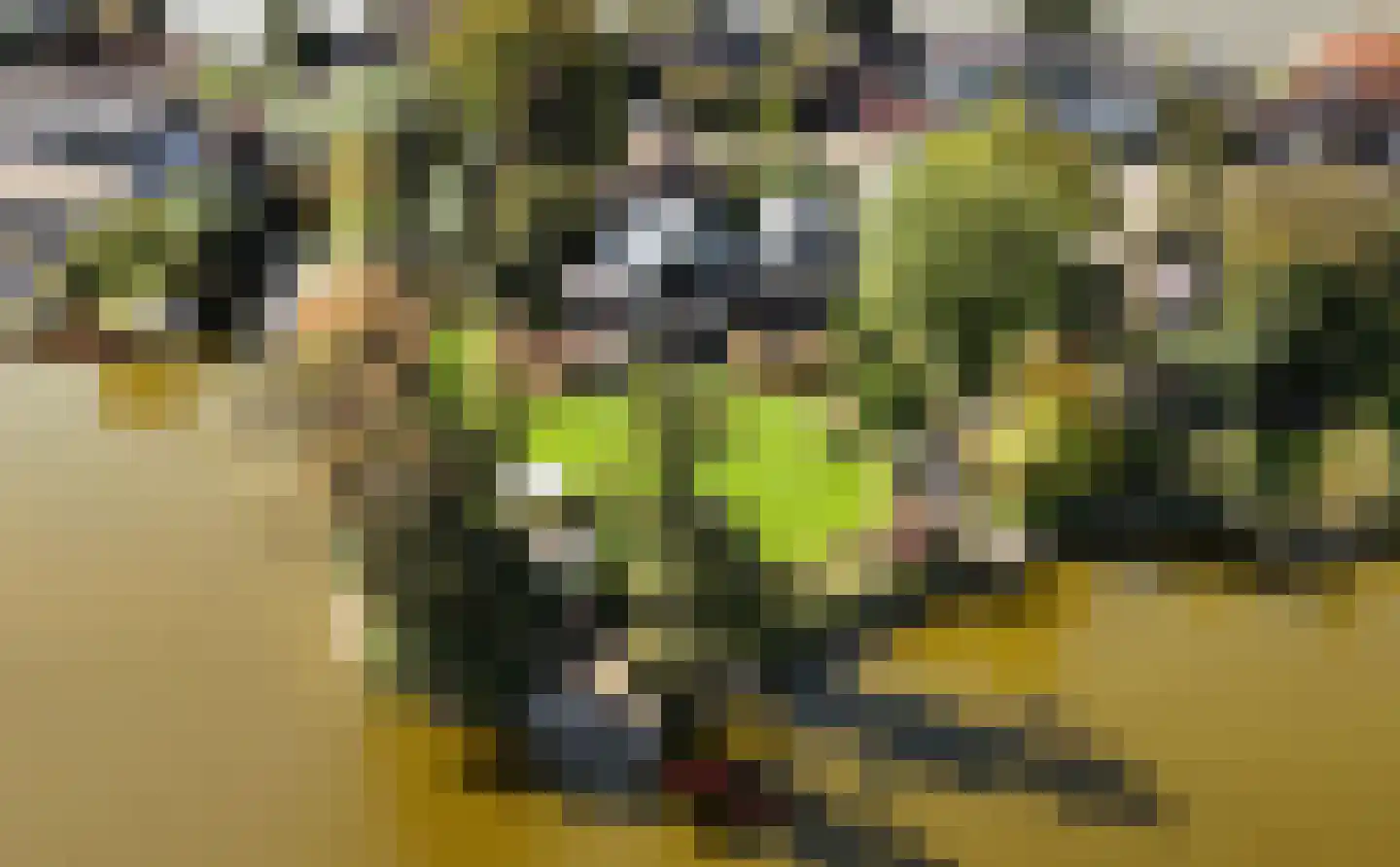 's-Gravenbroekseweg 35 Reeuwijk thumbnail 52