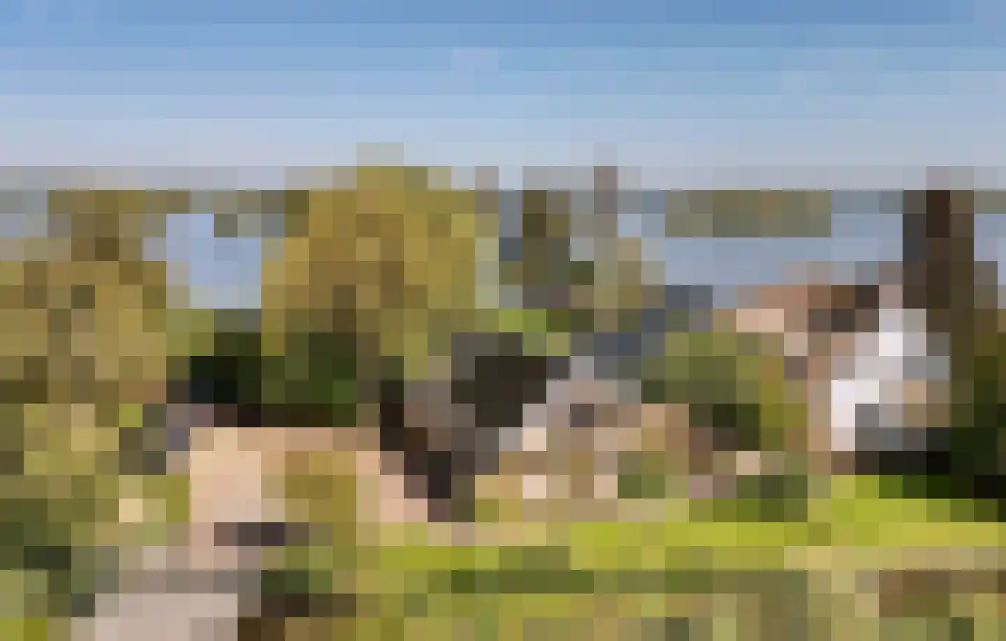 's-Gravenbroekseweg 35 Reeuwijk thumbnail 6