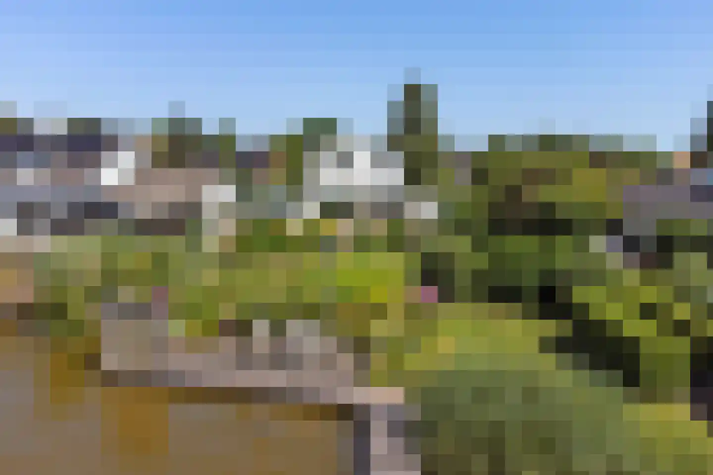 's-Gravenbroekseweg 42 Reeuwijk thumbnail 4