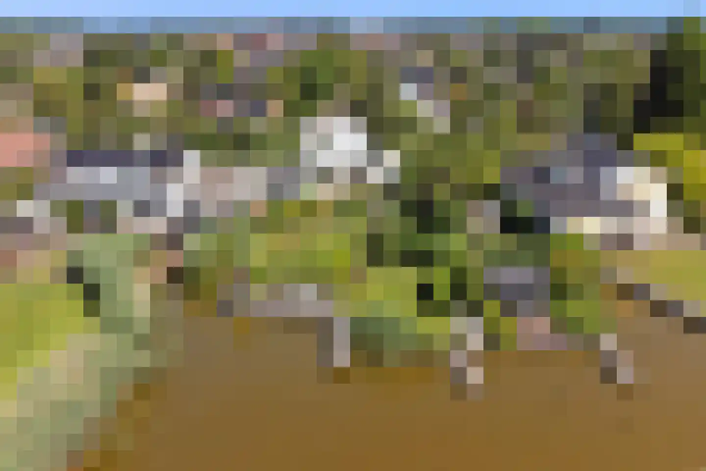 's-Gravenbroekseweg 42 Reeuwijk thumbnail 5