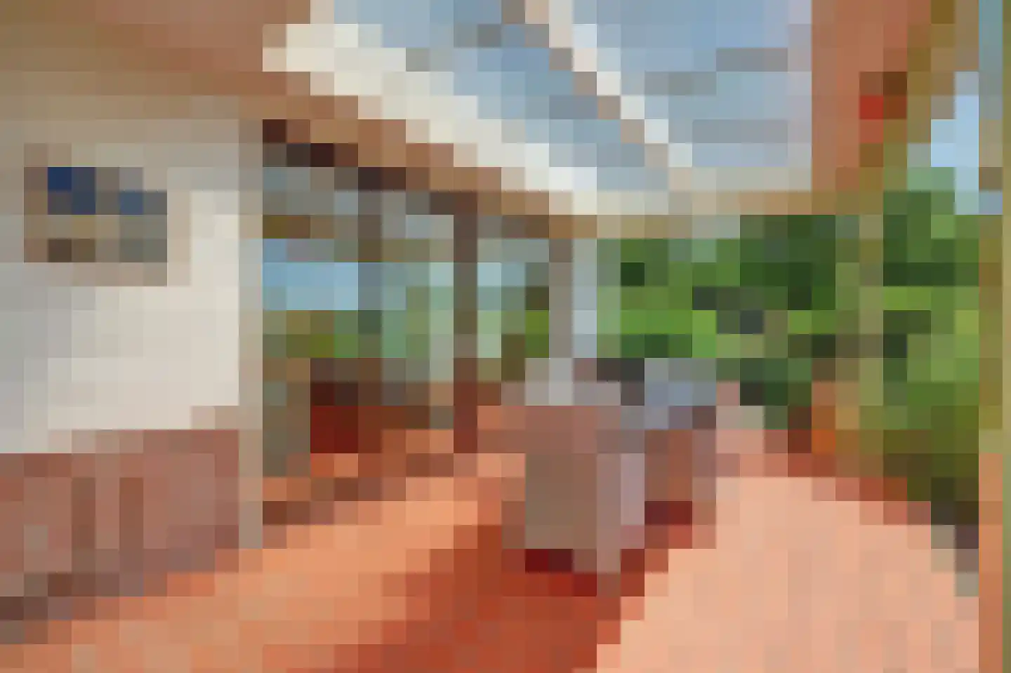 's-Gravenbroekseweg 42 Reeuwijk thumbnail 54