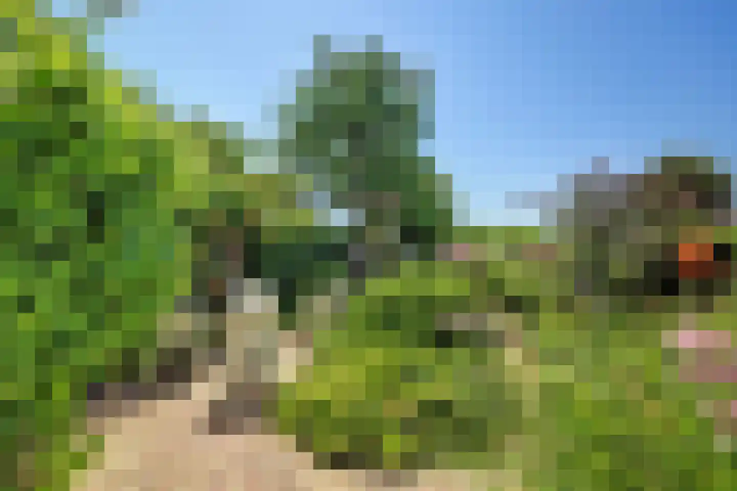 's-Gravenbroekseweg 42 Reeuwijk thumbnail 57