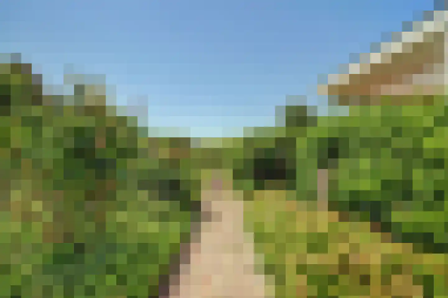 's-Gravenbroekseweg 42 Reeuwijk thumbnail 62
