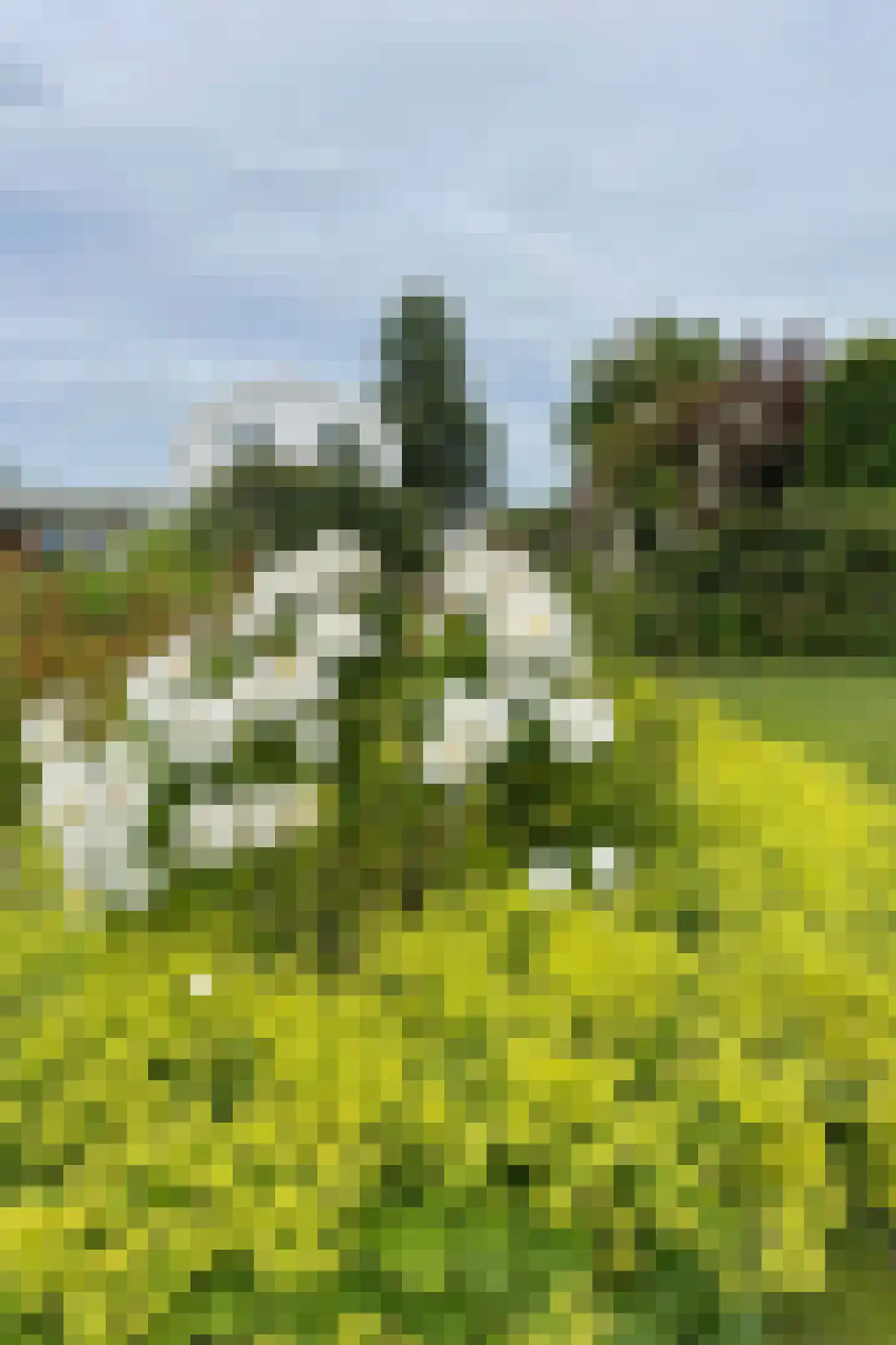 's-Gravenbroekseweg 42 Reeuwijk thumbnail 66