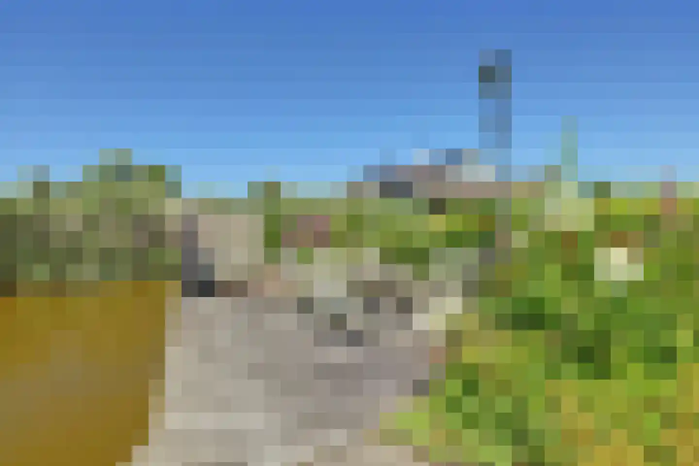 's-Gravenbroekseweg 42 Reeuwijk thumbnail 73