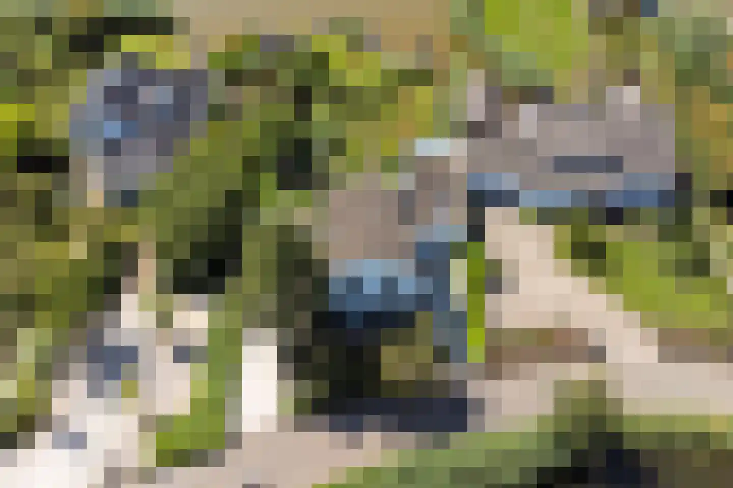 's-Gravenbroekseweg 42 Reeuwijk thumbnail 86