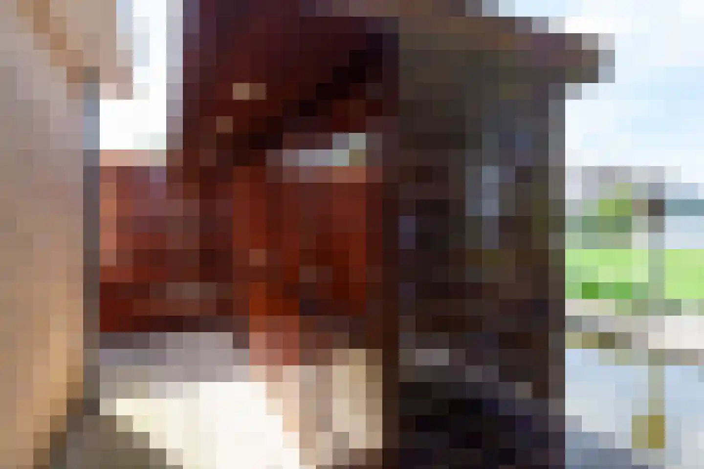's-Gravenbroekseweg 69 1 Reeuwijk thumbnail 35