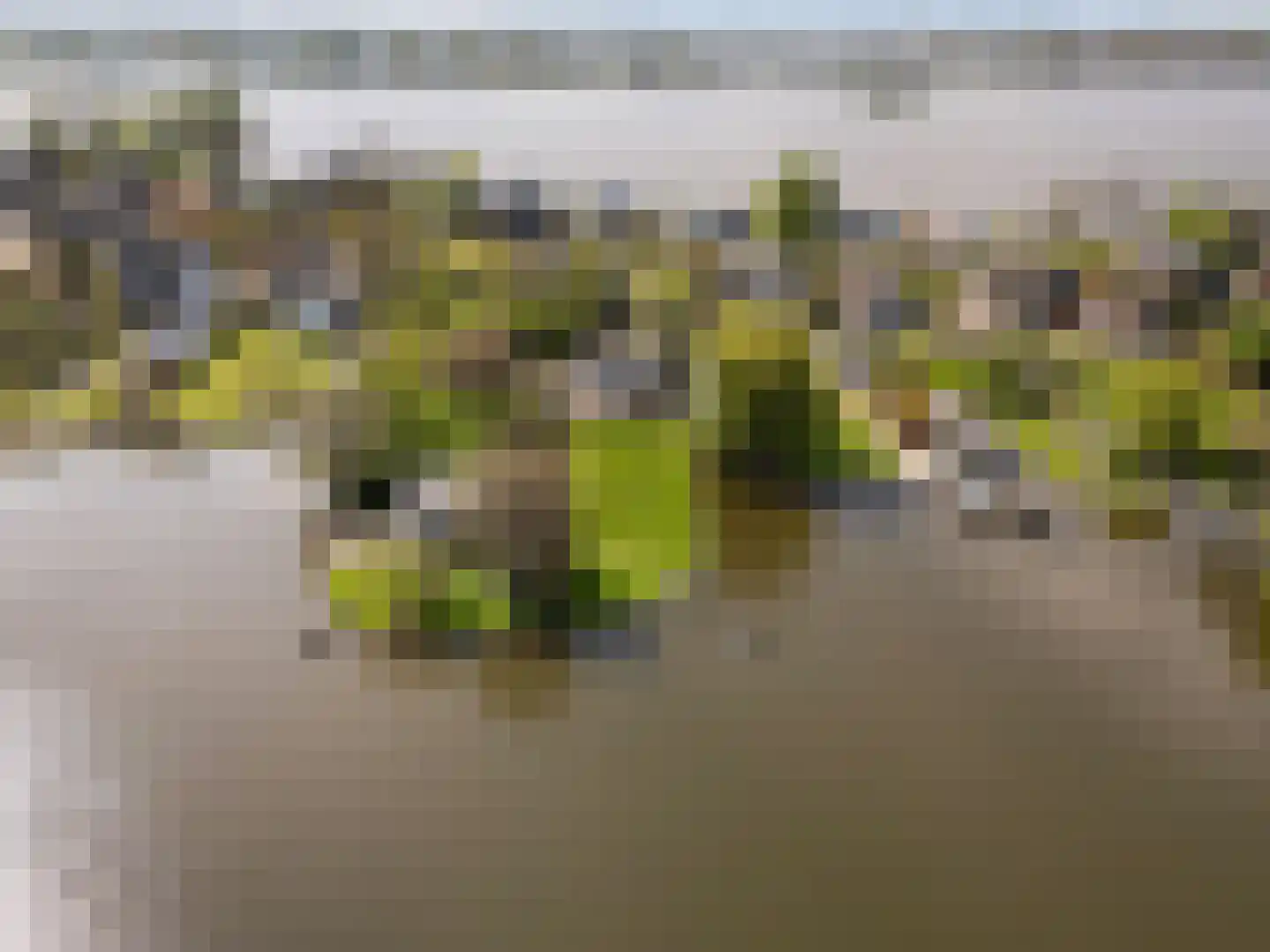 's-Gravenbroekseweg 69 1 Reeuwijk thumbnail 36