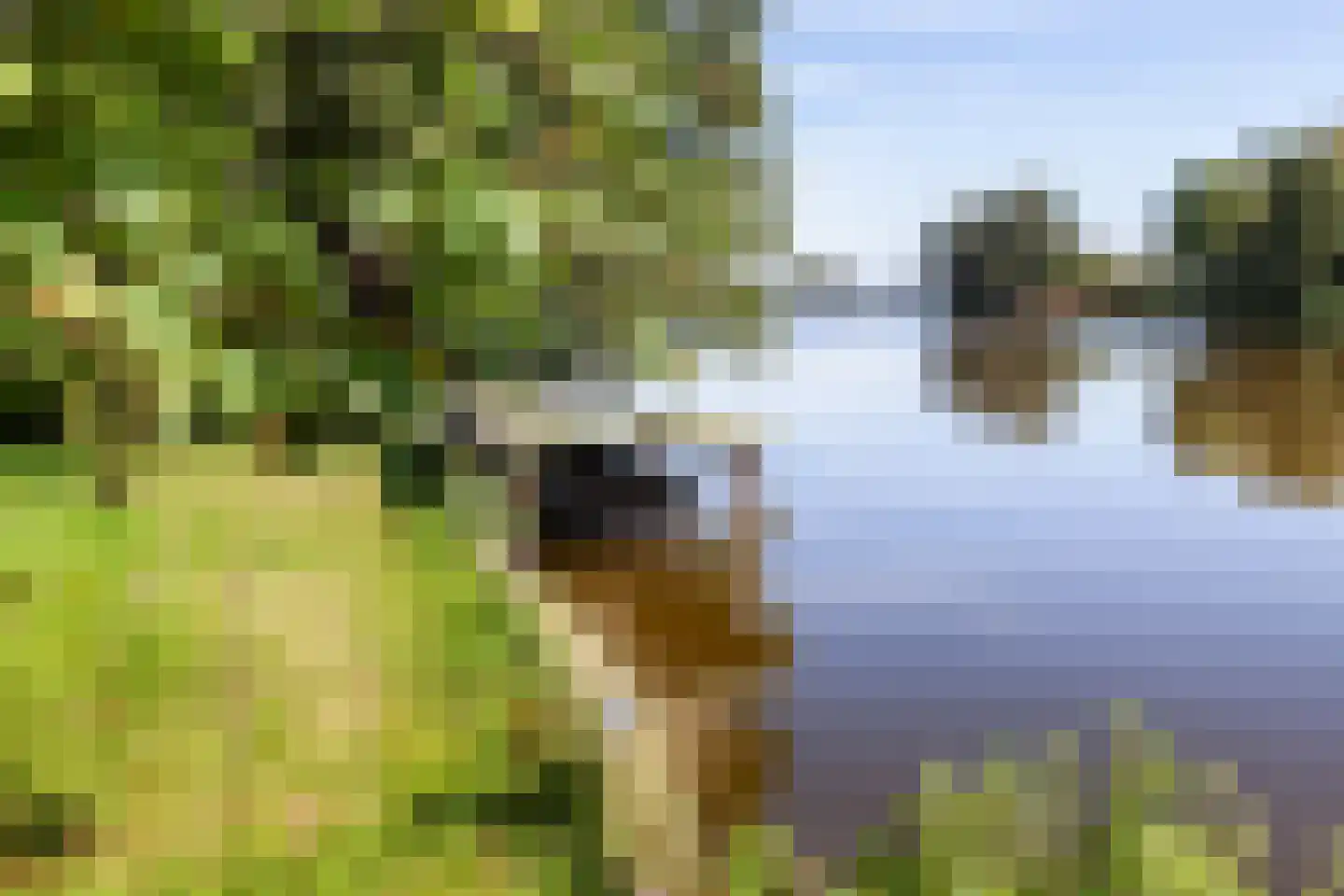 's-Gravenbroekseweg 69 2 Reeuwijk thumbnail 28