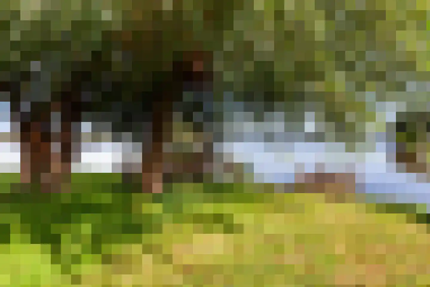 's-Gravenbroekseweg 69 2 Reeuwijk thumbnail 31