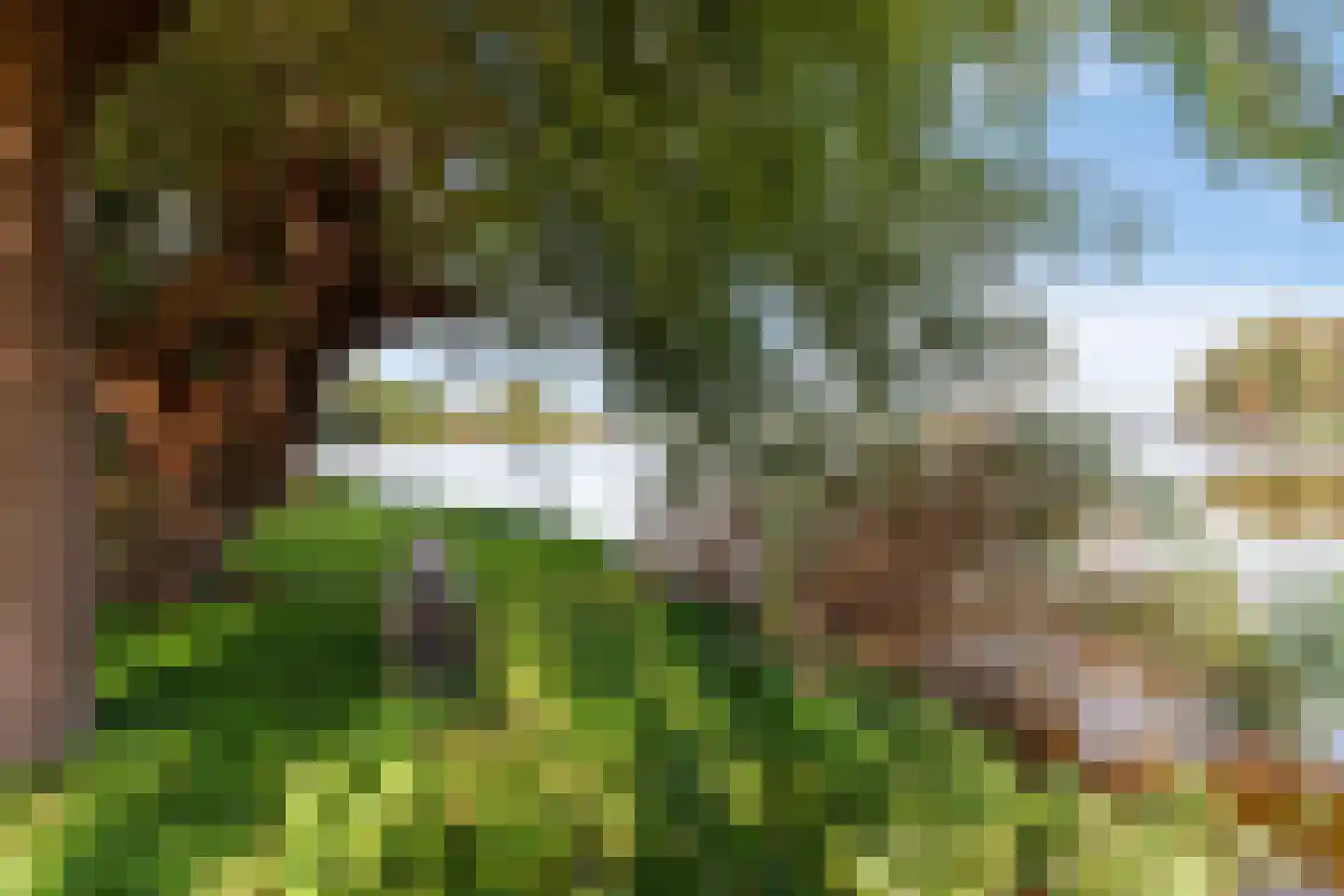 's-Gravenbroekseweg 69 2 Reeuwijk thumbnail 32