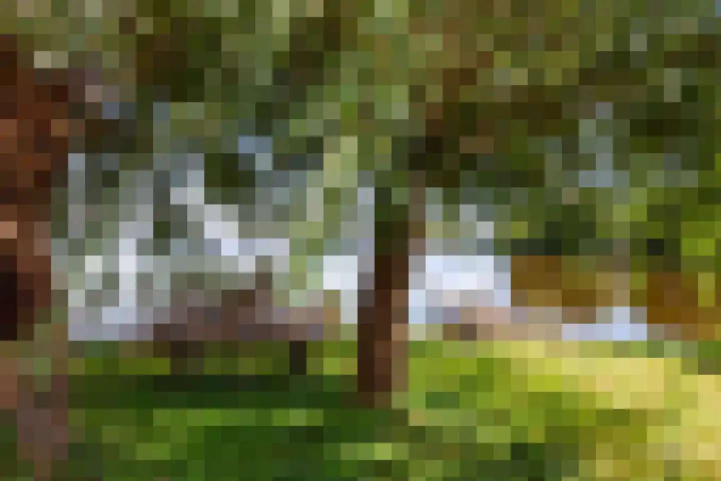 's-Gravenbroekseweg 69 2 Reeuwijk thumbnail 33