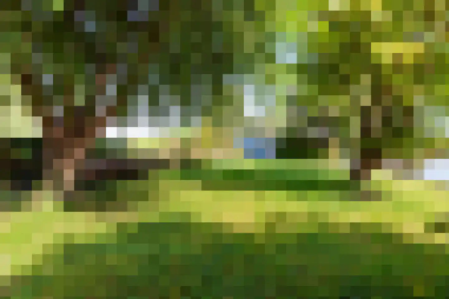 's-Gravenbroekseweg 69 2 Reeuwijk thumbnail 40
