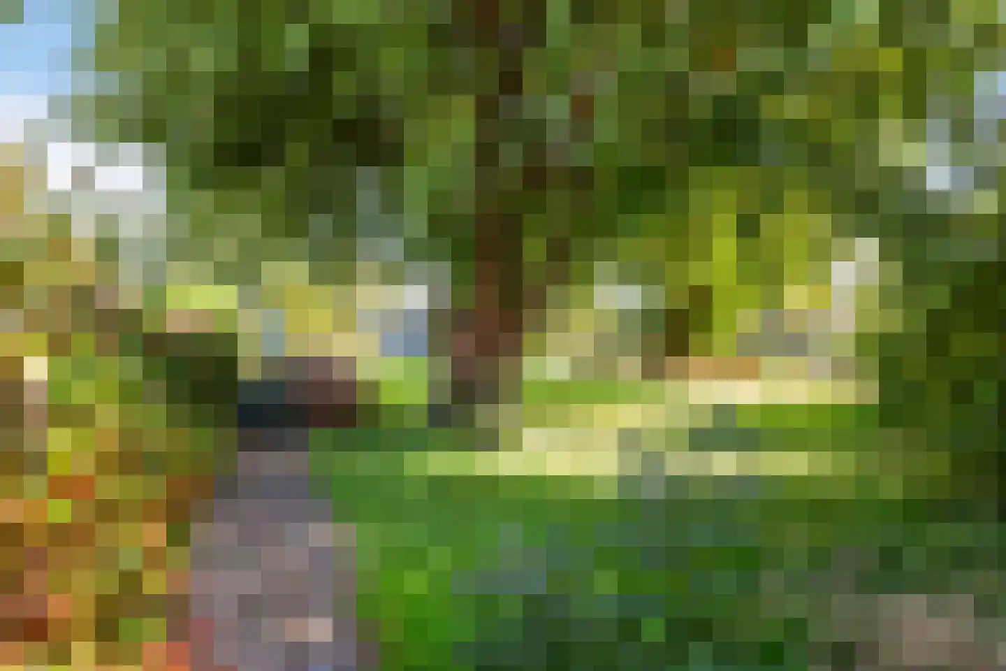 's-Gravenbroekseweg 69 2 Reeuwijk thumbnail 41