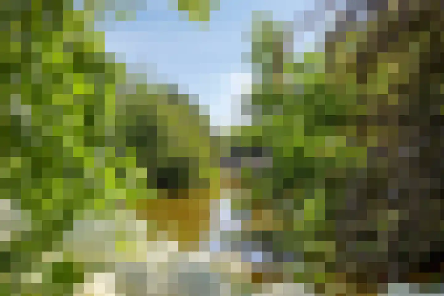 's-Gravenbroekseweg 75 Reeuwijk thumbnail 62
