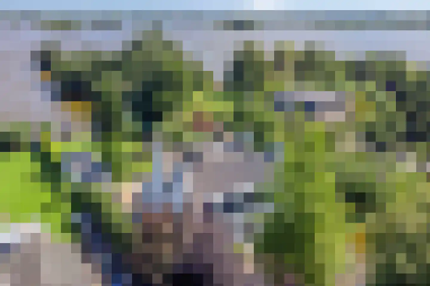 's-Gravenbroekseweg 75 Reeuwijk thumbnail 63