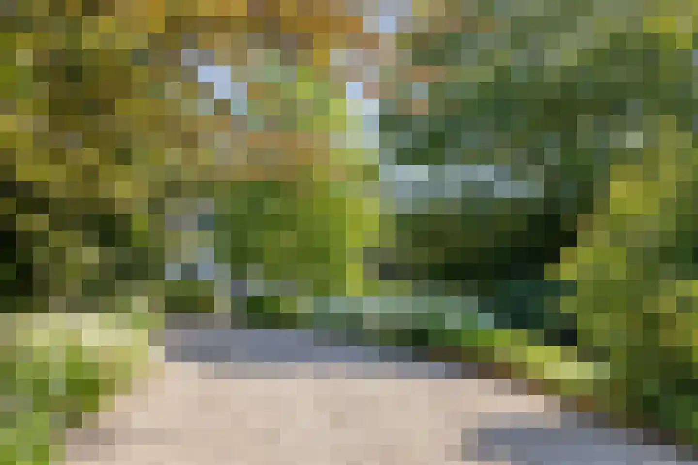 's-Gravenbroekseweg 75 Reeuwijk thumbnail 7