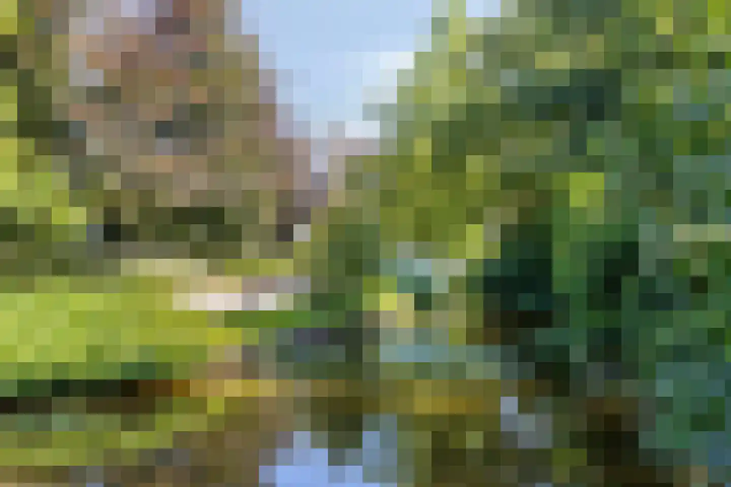's-Gravenbroekseweg 75 Reeuwijk thumbnail 8