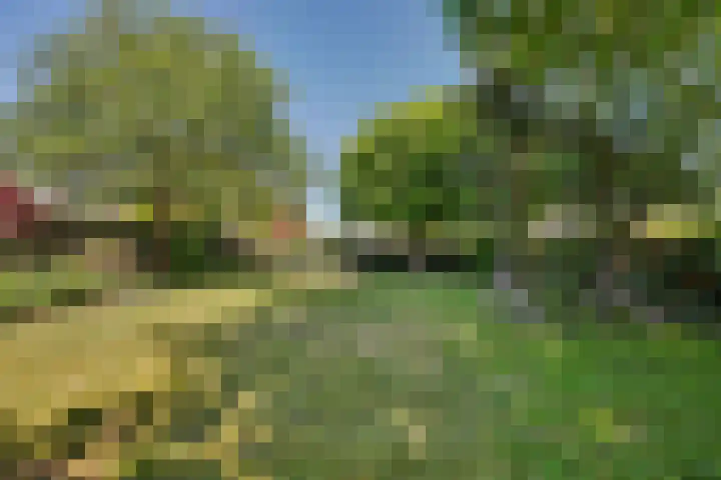 's-Gravenbroekseweg 94 1 Reeuwijk thumbnail 7
