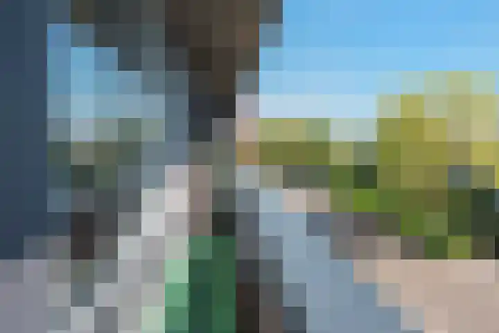 's-Gravendamseweg 16 L Noordwijkerhout thumbnail 18