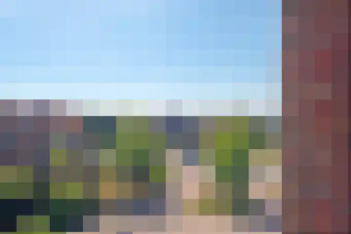 's-Gravendamseweg 16 L Noordwijkerhout thumbnail 23