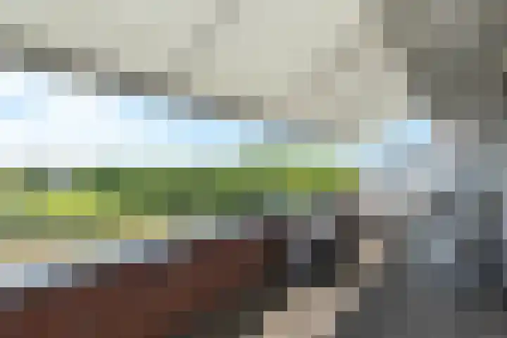 's-Gravendamseweg 16 W Noordwijkerhout thumbnail 33