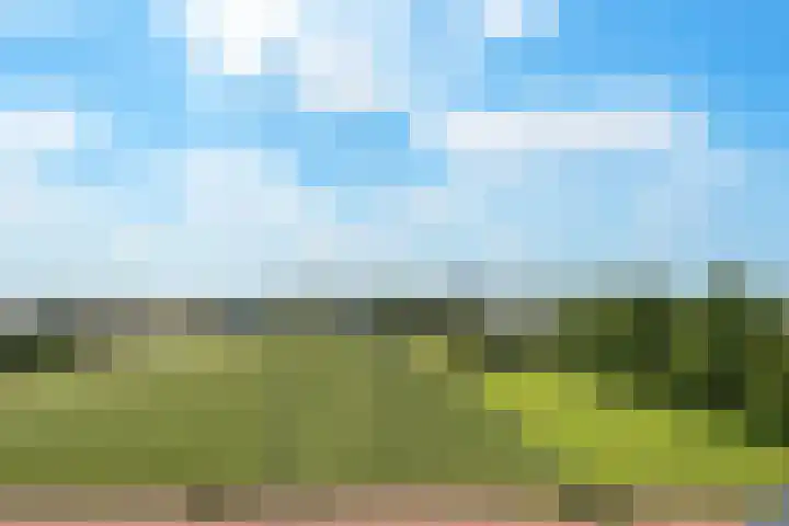 's-Gravendamseweg 16 W Noordwijkerhout thumbnail 35