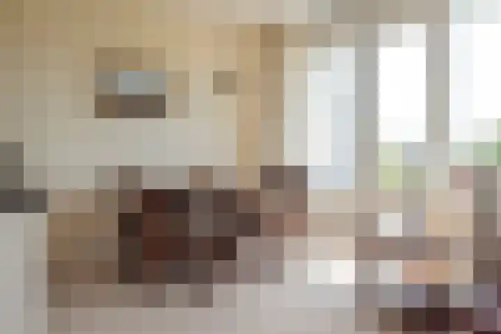 's-Gravendamseweg 16 W Noordwijkerhout thumbnail 6