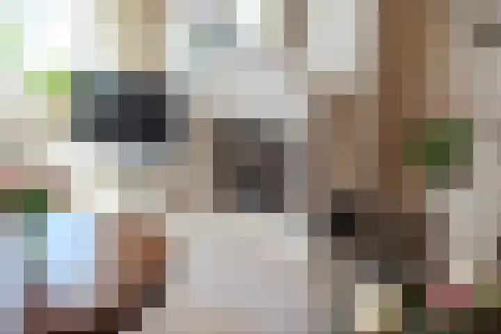 's-Gravendamseweg 16 W Noordwijkerhout thumbnail 9