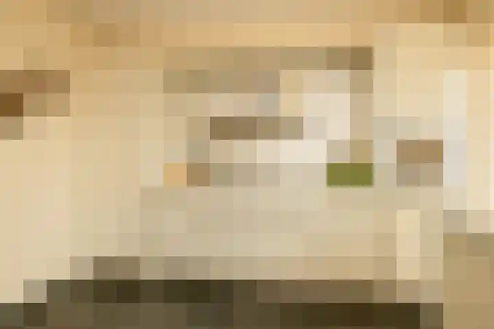 's-Gravendamseweg 18 C Noordwijkerhout thumbnail 10