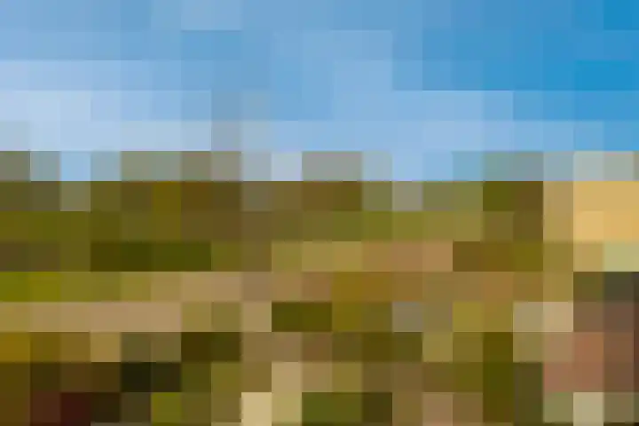 's-Gravendamseweg 18 C Noordwijkerhout thumbnail 29