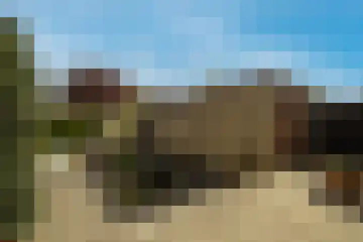's-Gravendamseweg 18 C Noordwijkerhout thumbnail 30