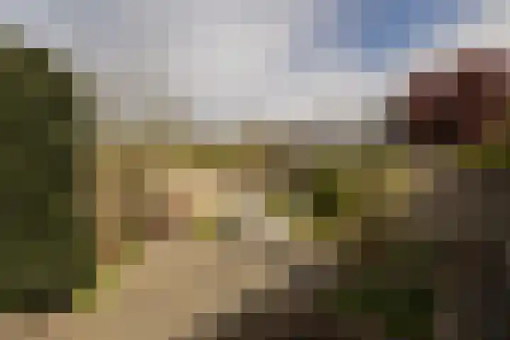 's-Gravendamseweg 18 C Noordwijkerhout thumbnail 34
