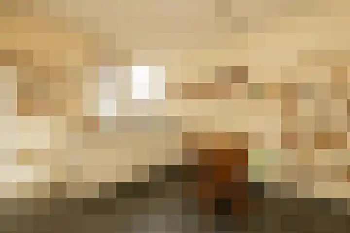 's-Gravendamseweg 18 C Noordwijkerhout thumbnail 9