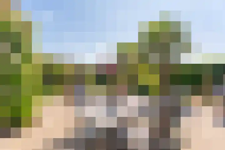 's-Gravendamseweg 19 Noordwijkerhout thumbnail 23