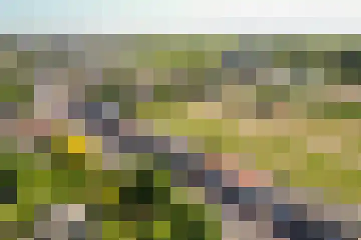 's-Gravendamseweg 19 Noordwijkerhout thumbnail 27