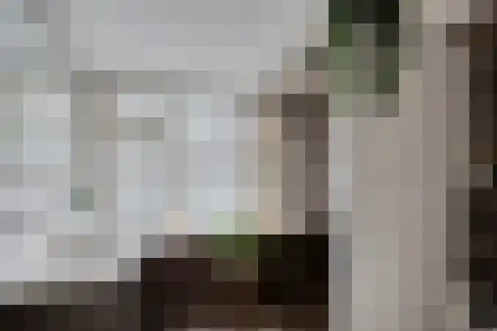 's-Gravendamseweg 20 Noordwijkerhout thumbnail 18