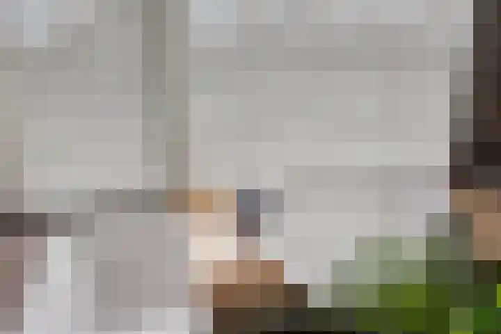 's-Gravendamseweg 20 Noordwijkerhout thumbnail 20