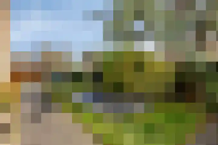's-Gravendamseweg 20 Noordwijkerhout thumbnail 35