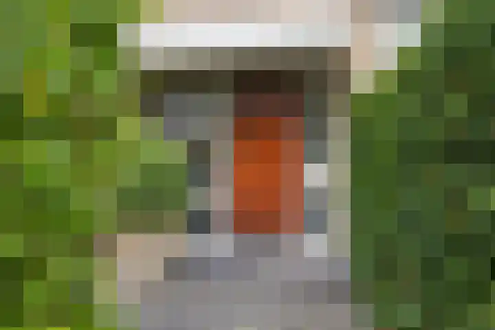 's-Gravendamseweg 20 Noordwijkerhout thumbnail 7