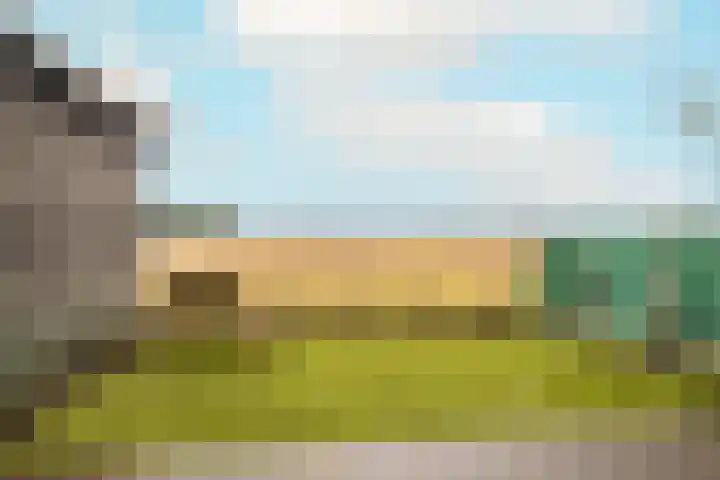 's-Gravendamseweg 37 A Noordwijkerhout thumbnail 13