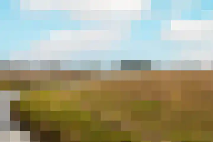 's-Gravendamseweg 37 A Noordwijkerhout thumbnail 17
