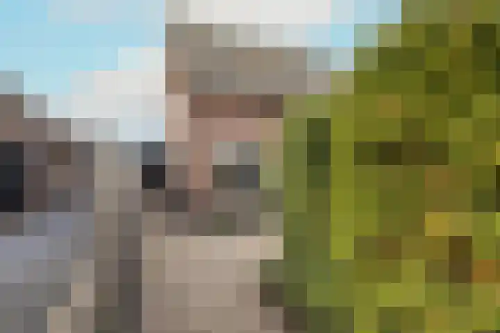 's-Gravendamseweg 37 A Noordwijkerhout thumbnail 26